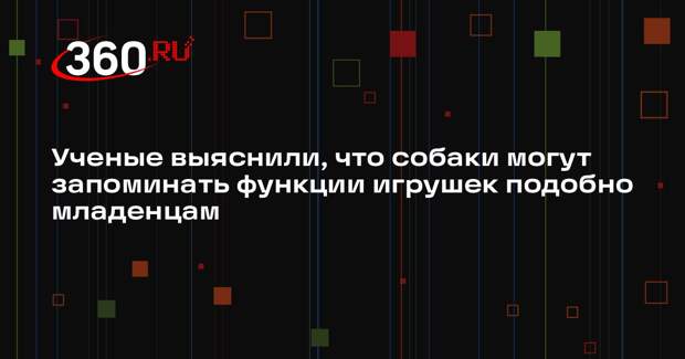 Ученые выяснили, что собаки могут запоминать функции игрушек подобно младенцам