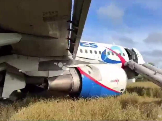 «Действия считаю безграмотными»: летчик Сальников назвал ошибки пилотов севшего в поле самолета