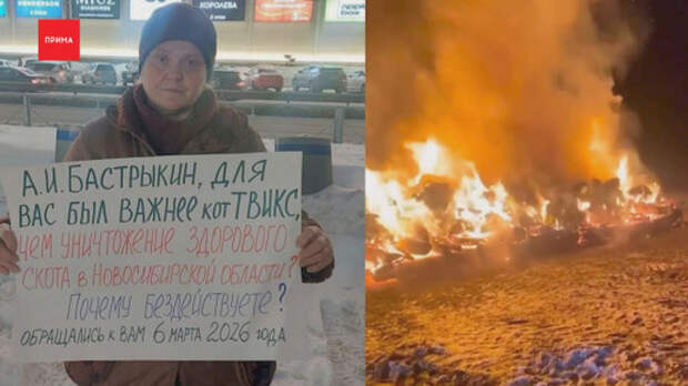 ЧП: КТО И ЗАЧЕМ УНИЧТОЖАЛ СКОТ В СИБИРИ, и почему пострадавшим заплатили больше, чем они просили?