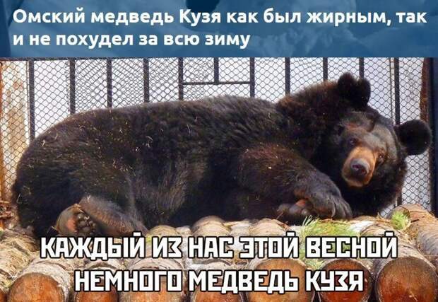 x-jn1ownqg4.jpg