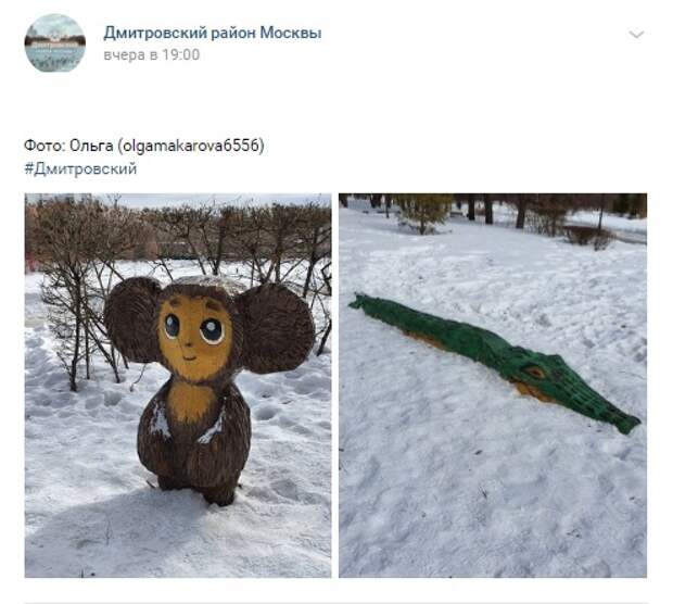 Фото дня: в парке «Ангарские пруды» выплывает крокодил