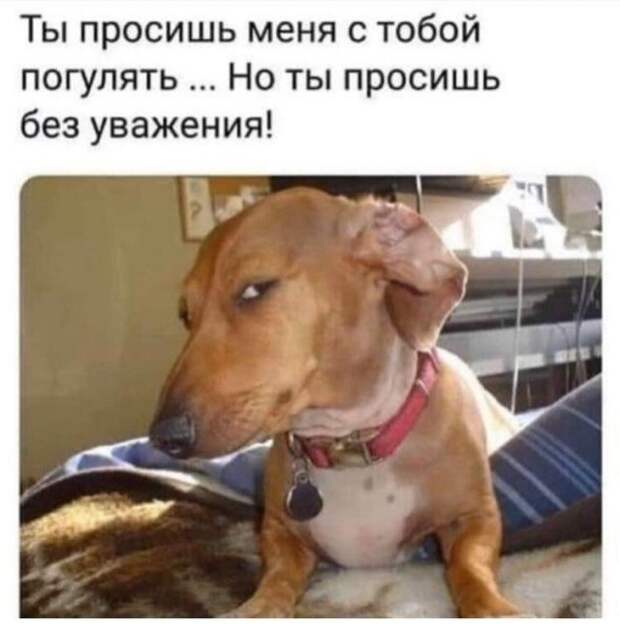 лучшие мемы из Сети