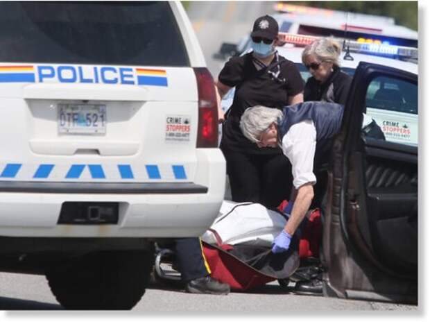 Смертельное нападение питбуля на владельца в Новой Шотландии, Канада