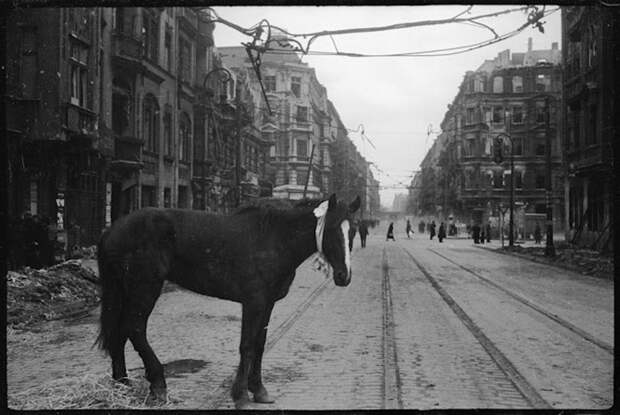 Берлин 1945 года в объективе Валерия Фоминского вов, ностальгия, фронтовые фотокорреспонденты