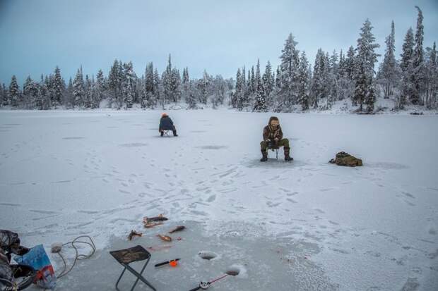 Зимняя рыбалка на севере отдых, охота, природа., рыбалка