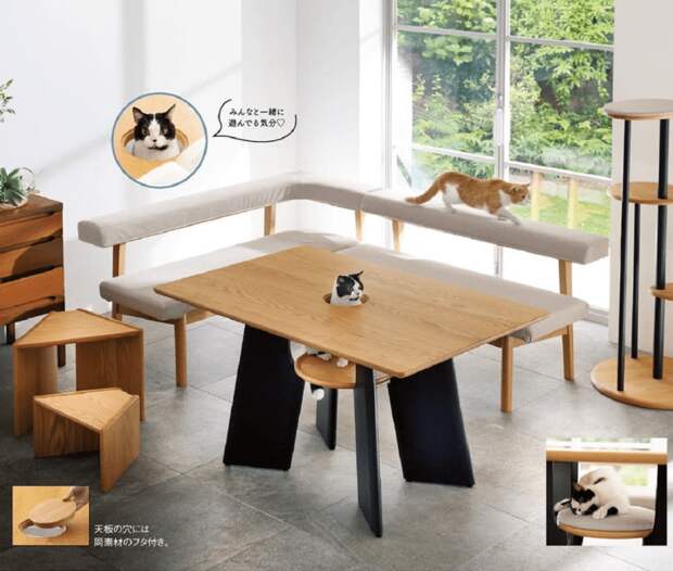 _япония_стол-1024x870 В Японии придумали стол для совместных обедов с котами
