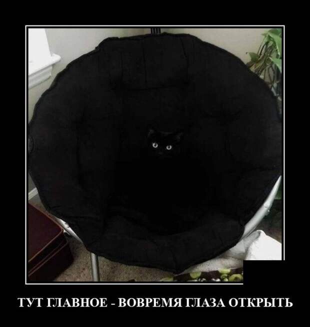Демотиваторы 28 апреля 2021 года