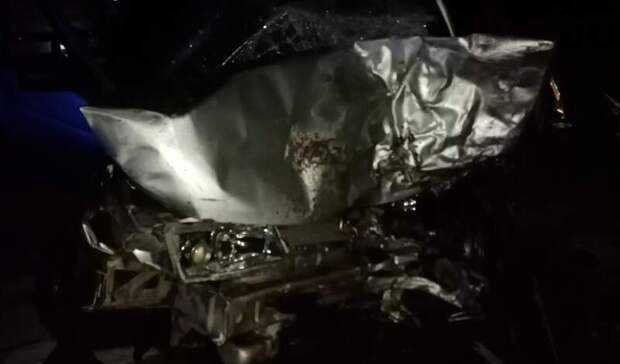 Два человека погибли в ДТП под Шахуньей 27 декабря