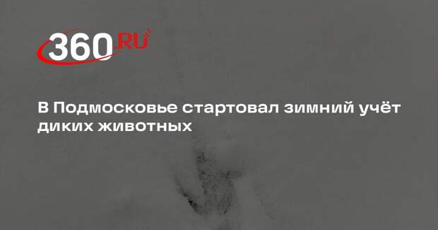 В Подмосковье проведут учет охотничьих ресурсов методом ЗМУ