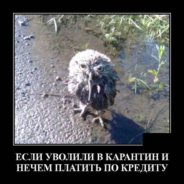 demotivatory-demotivator-smeshnye-demotivatory-demotivator-so-smyslom