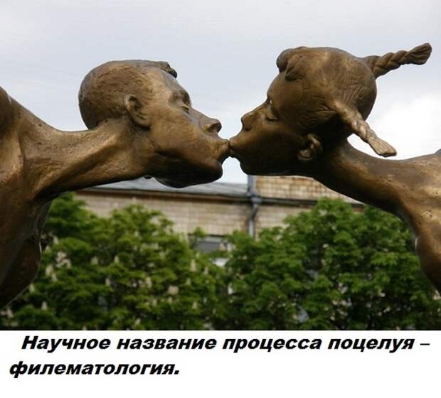 Самые бесполезные факты о которых вы не знали