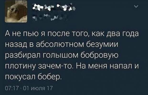 Баянисто-небаянистый юмор