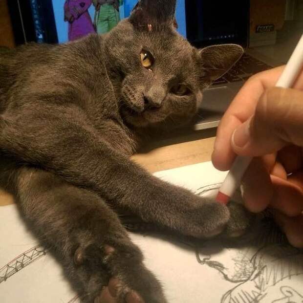 4324