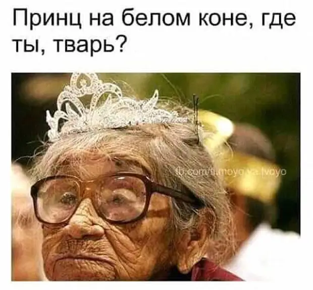 Если вы что-то потеряли и никак не можете найти, посмотрите под котом! когда, туфли, говорит, еврей, человек, аргумент, беспроигрышный, бебебе, пожалуйста, Еврей, девочек, священник, можно, встать, конечно, Александр, семейной, счастливой, подумал…Милые, Андрюша