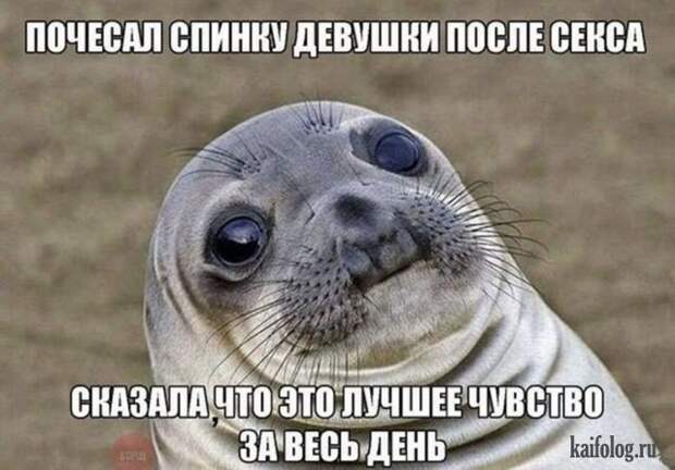 Лучшие открытки 2015-го года (85 картинок) Лучшие открытки 2015-го года (85 картинок)