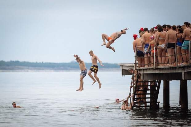 Подборка прикольных картинок
