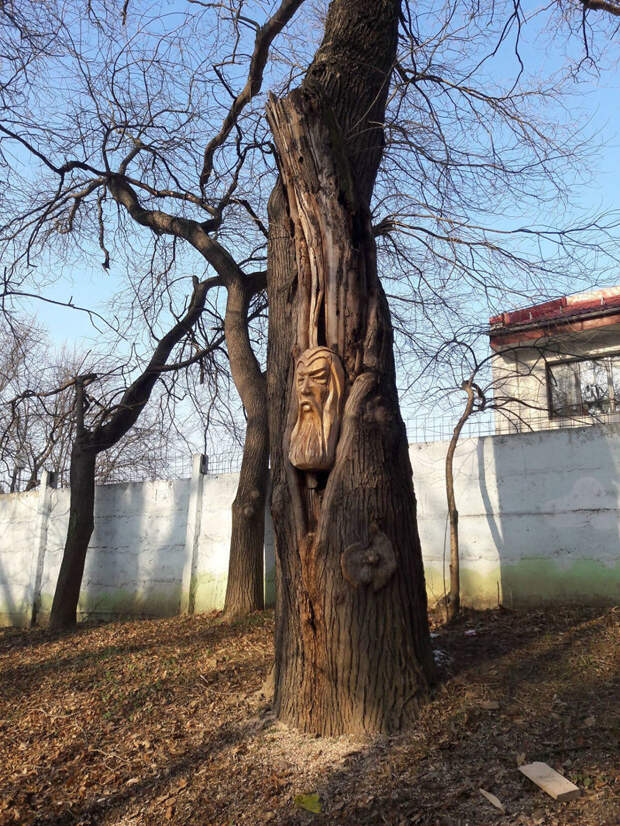 Румынский художник творит деревянные чудеса бензопилой art, Скульптуры, дерево, красиво, креатив, резьба по дереву, творчество, фото