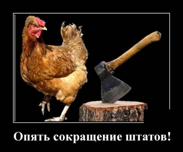 Демотиваторы 15 октября 2021 года