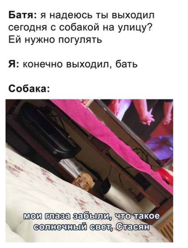 Подборка картинок. Дневной выпуск (31 фото)