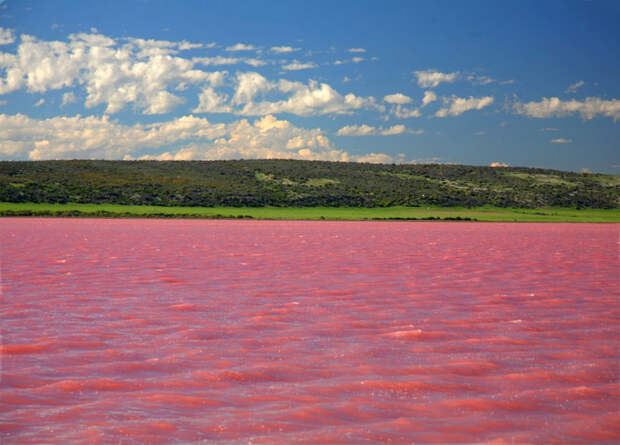 Siberian pink lake