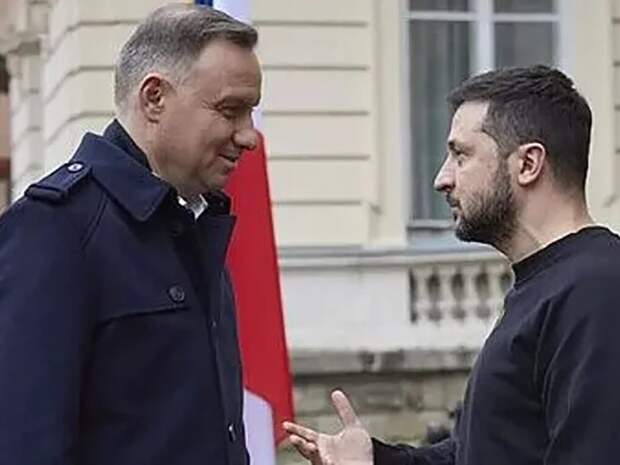 Польский генерал Скшипчак рассказал о тайной цели поездки Зеленского в Варшаву