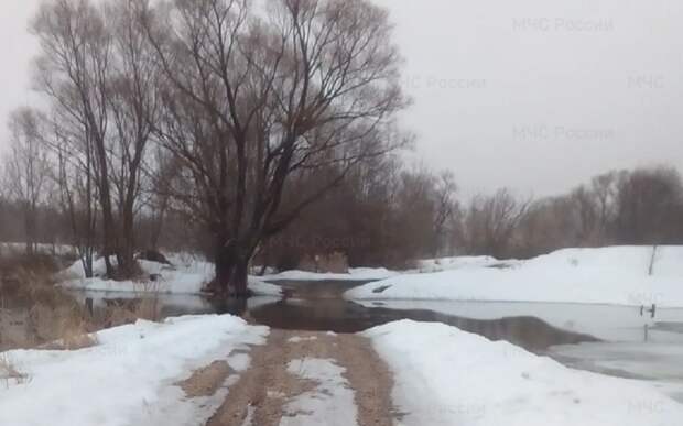 В Скопинском районе подтопило мост у села Шелемишево