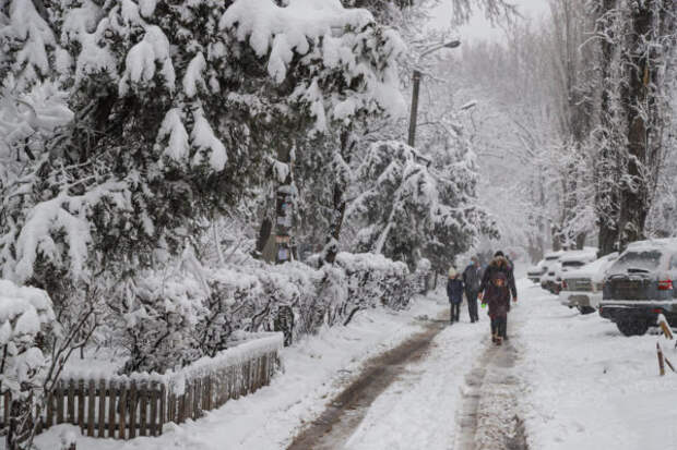 В ноябре 2021 пойдет первый снег в Украине