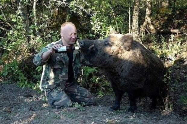 Подборка картинок. Дневной выпуск (31 фото)