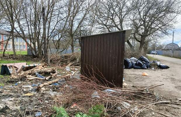 На улице Советской в поселке Куркино выявлена несанкционированная свалка