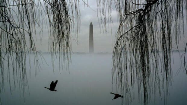 Мэр Вашингтона объявила ЧС из-за разлива сточных вод в реку Потомак