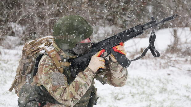 Армия России освободила Степановку в ДНР и Староукраинку в Запорожской области