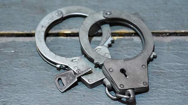 Свыше 400 экоактивистов задержали в Гааге при блокировании автомагистрали А12