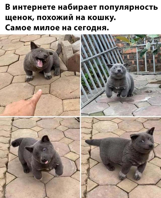 www.vsyako.net
