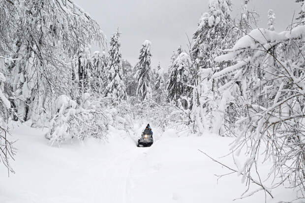 Житель Тюмени более суток боролся за жизнь после поломки снегохода в лесу