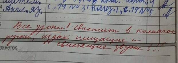 15 убойных замечаний в дневниках, после которых родителей вызывают в школу