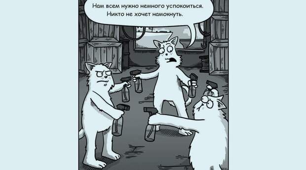 Самые смешные картинки про котов за 2025 год