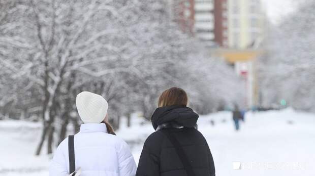 Февраль будет теплее – синоптики дали предварительный прогноз