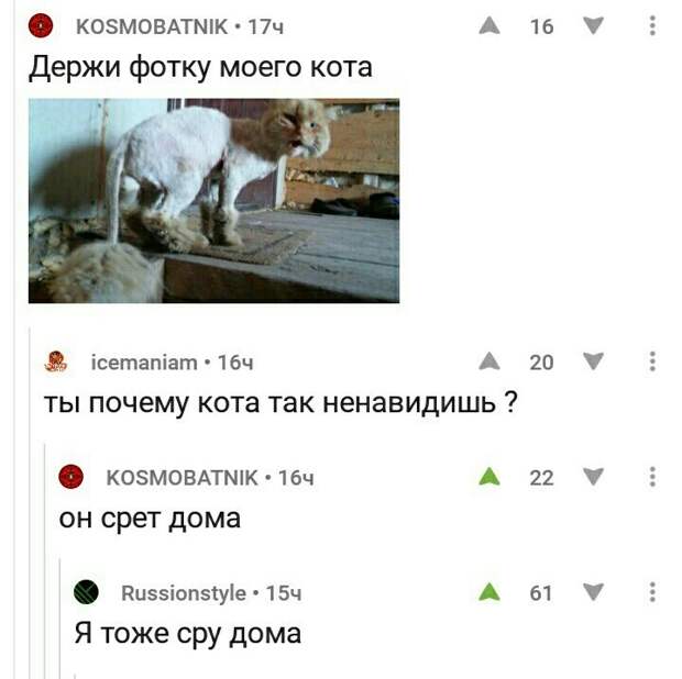 Смешные комментарии и высказывания из социальных сетей Смешные комментарии и высказывания из социальных сетей