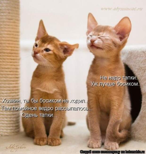 Мысли вслух :)