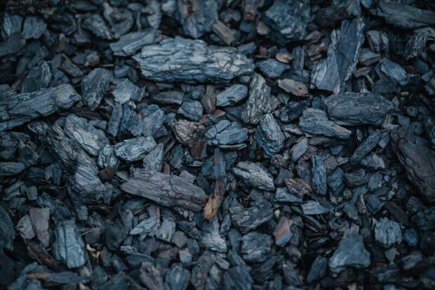 Уголь для Евросоюза подорожал в полтора раза после эмбарго против России