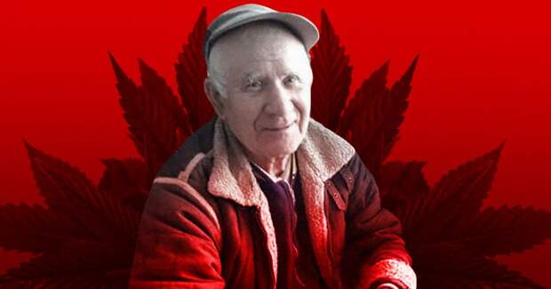 На дедушку завели уголовку из-за куста конопли в огороде. Он повесился