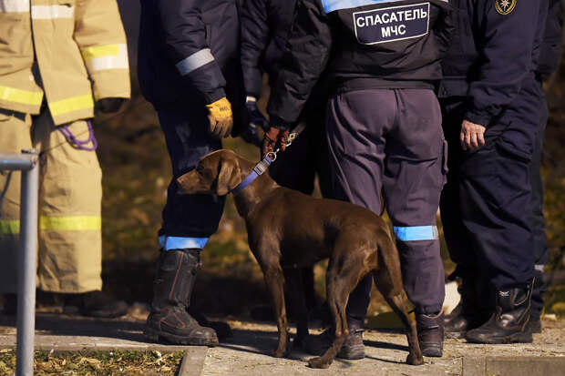 Власти обратились к жителям после пропажи трех детей под Москвой