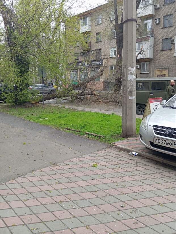 упало дерево на Щорса, проехать нельзя