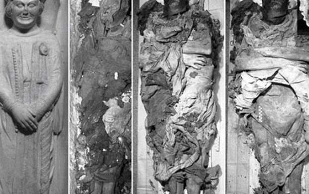 Убийство раскрыли спустя 800 лет благодаря фекалиям