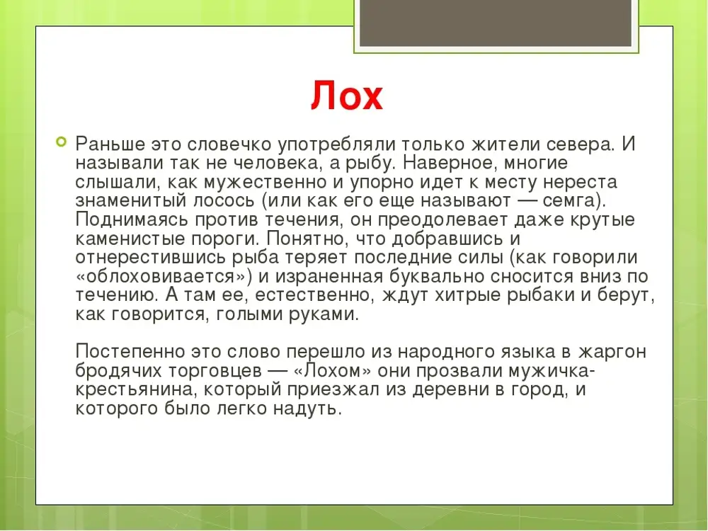 Слово малохольный. Лох происхождение слова. Этимология слова лох. Смысл слова лох. Лох это значение слова что значит.