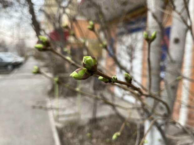 Порывистый ветер ворвется завтра в Астраханскую область