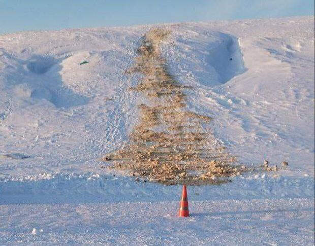 Сестры-дошкольницы вылетели на ватрушке под автомобиль и едва не погибли в России