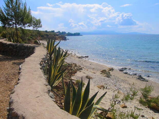 DE: онкобольному врачи дали полгода жизни, он прожил 40 лет и умер в 102 года