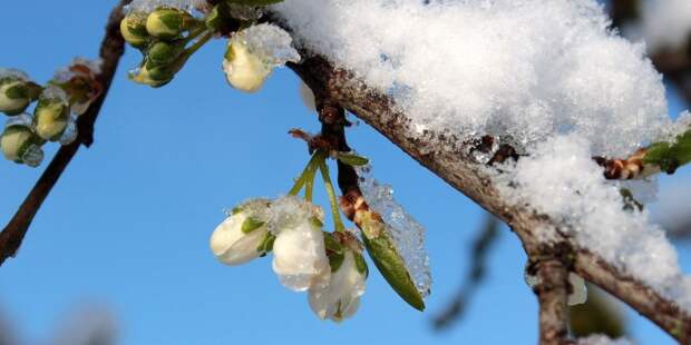 Прогноз погоды на весну 2026: на юге тепло, в центре — возвраты холодов