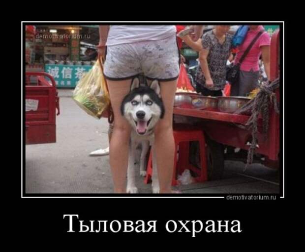 Свежие демотиваторы (19 шт)